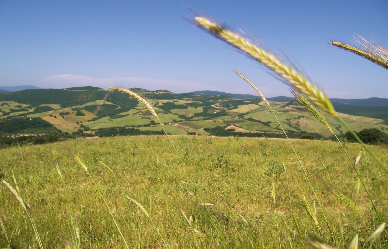 Una tarda primavera sulla Tolfa